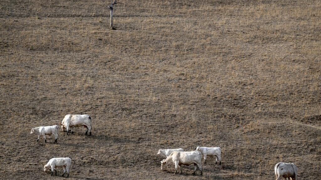 COP17 contre la désertification : la France n'échappe pas à la dégradation de ses sols