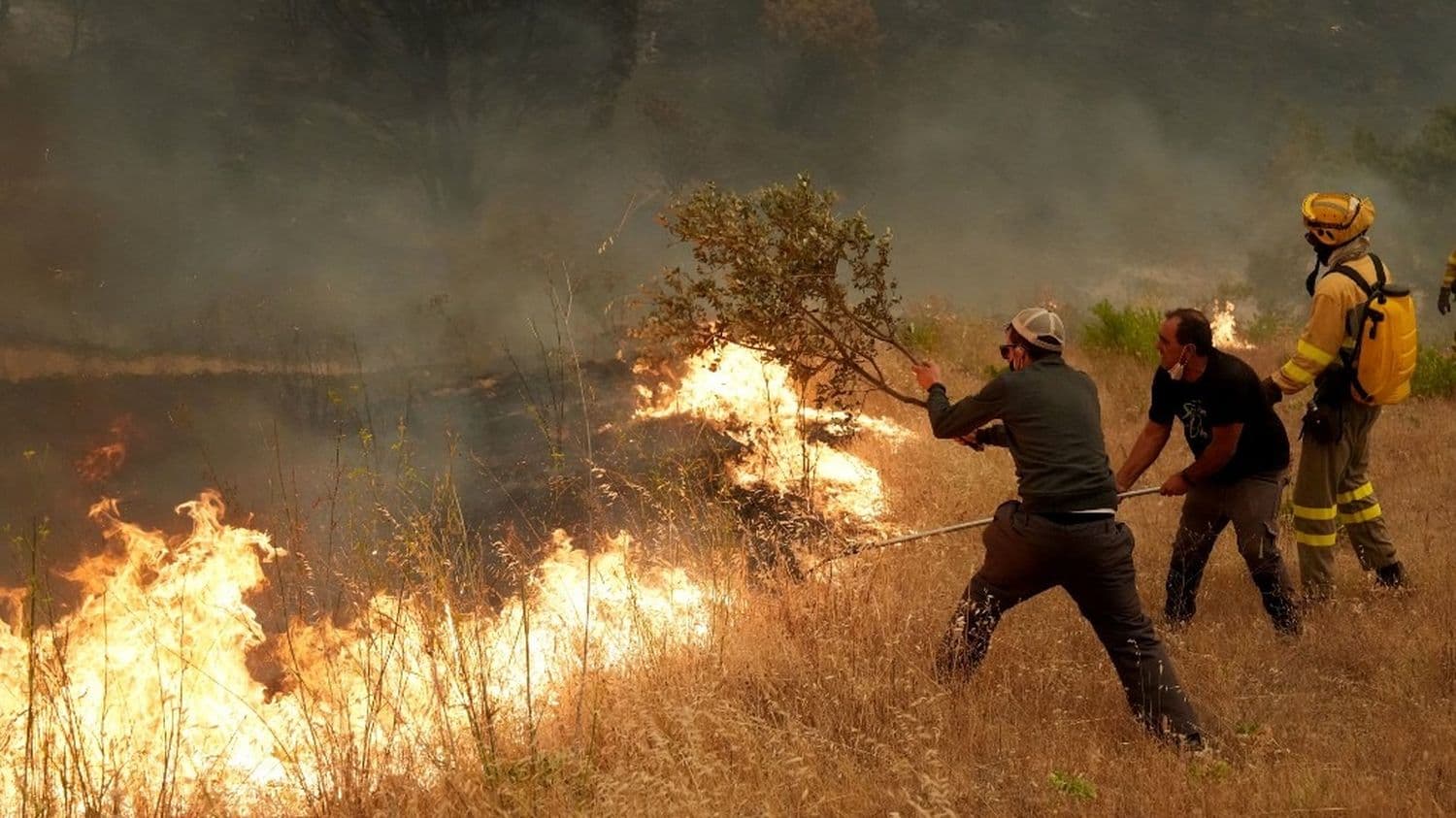 En Espagne, les incendies dans les régions de Madrid et d'Avila ont ravagé jusqu'à 25 000 hectares
